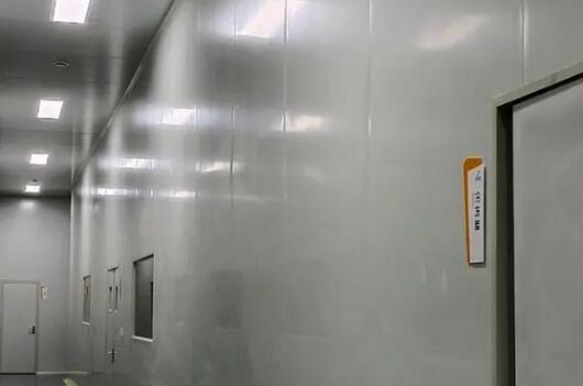 遠(yuǎn)大廠(chǎng)家介紹一款硅巖凈化彩鋼板產(chǎn)品